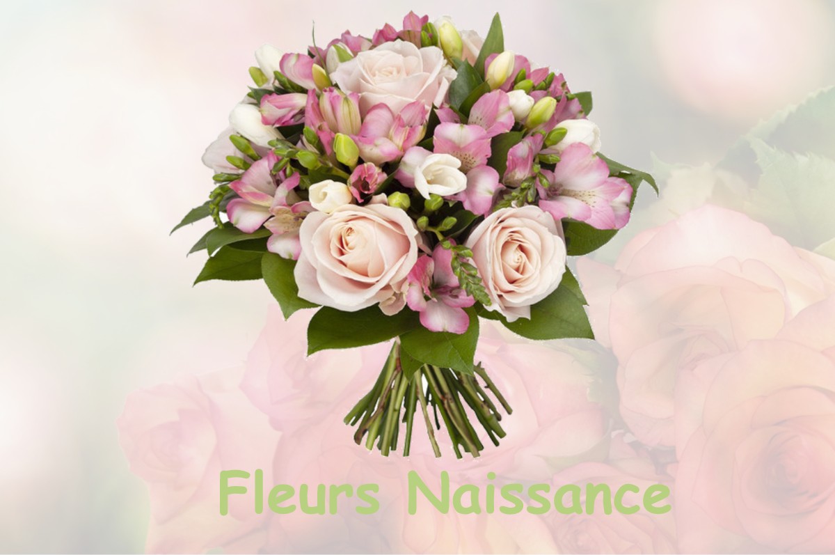 fleurs naissance LE-MESNIL-BACLEY